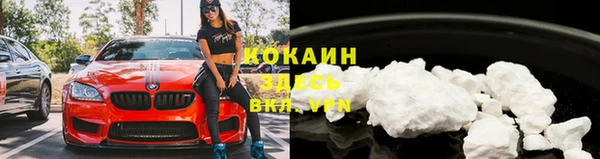 гашиш Касимов