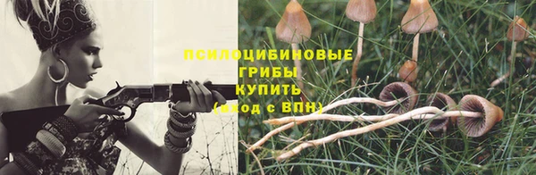 mdpv Карпинск