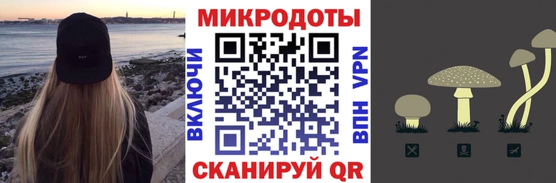 Купить где  Камбарка  Псилоцибиновые грибы Psilocybine cubensis 